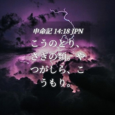 Picture 04 - 申命記 14:18 JPN - こうのとり、さぎの類。やつがしら - Bible Verse Picture