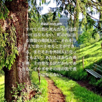 Picture 04 - 申命記 14:21 JPN - すべて自然に死んだものは食べては - Bible Verse Picture