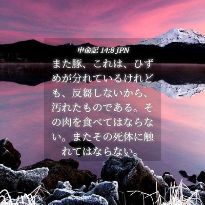 Picture 04 - 申命記 14:8 JPN - また豚、これは、ひずめが分れてい - Bible Verse Picture