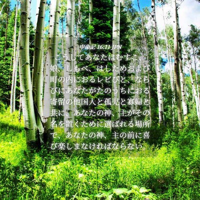 Picture 04 - 申命記 16:11 JPN - こうしてあなたはむすこ、娘、しも - Bible Verse Picture