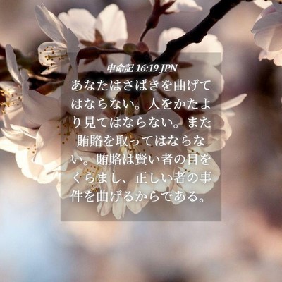 Picture 04 - 申命記 16:19 JPN - あなたはさばきを曲げてはならない - Bible Verse Picture