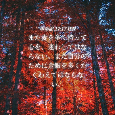 Picture 04 - 申命記 17:17 JPN - また妻を多く持って心を、迷わして - Bible Verse Picture