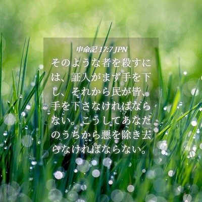 Picture 04 - 申命記 17:7 JPN - そのような者を殺すには、証人がま - Bible Verse Picture