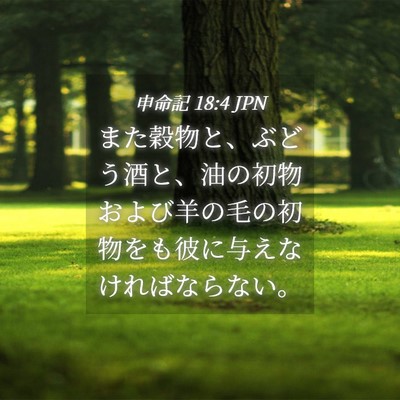 Picture 04 - 申命記 18:4 JPN - また穀物と、ぶどう酒と、油の初物 - Bible Verse Picture