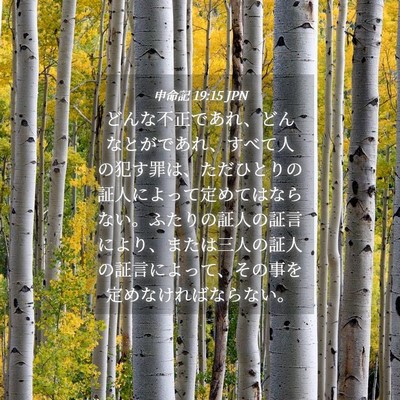 Picture 04 - 申命記 19:15 JPN - どんな不正であれ、どんなとがであ - Bible Verse Picture