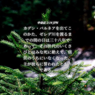 Picture 04 - 申命記 2:14 JPN - カデシ・バルネアを出てこのかた、 - Bible Verse Picture