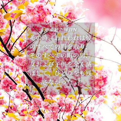 Picture 04 - 申命記 2:34 JPN - その時、われわれは彼のすべての町 - Bible Verse Picture