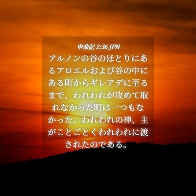 Picture 04 - 申命記 2:36 JPN - アルノンの谷のほとりにあるアロエ - Bible Verse Picture