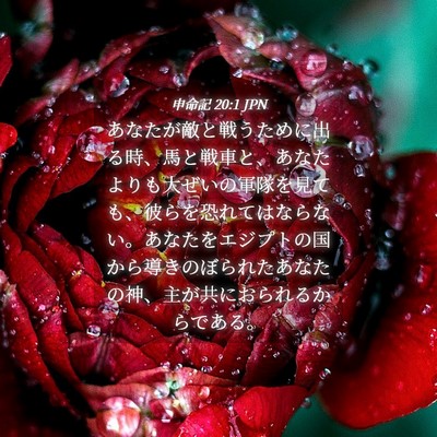 Picture 04 - 申命記 20:1 JPN - あなたが敵と戦うために出る時、馬 - Bible Verse Picture