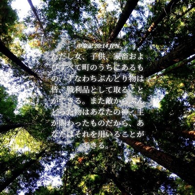 Picture 04 - 申命記 20:14 JPN - ただし女、子供、家畜およびすべて - Bible Verse Picture