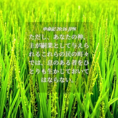 Picture 04 - 申命記 20:16 JPN - ただし、あなたの神、主が嗣業とし - Bible Verse Picture