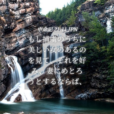 Picture 04 - 申命記 21:11 JPN - もし捕虜のうちに美しい女のあるの - Bible Verse Picture