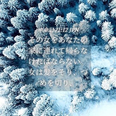 Picture 04 - 申命記 21:12 JPN - その女をあなたの家に連れて帰らな - Bible Verse Picture