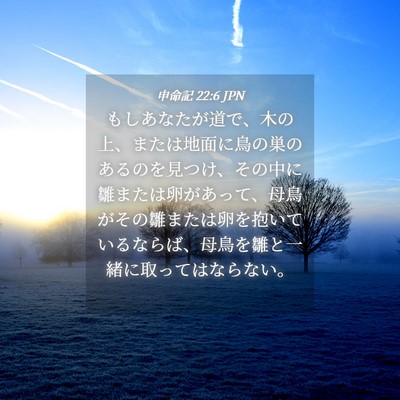 Picture 04 - 申命記 22:6 JPN - もしあなたが道で、木の上、または - Bible Verse Picture