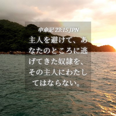 Picture 04 - 申命記 23:15 JPN - 主人を避けて、あなたのところに逃 - Bible Verse Picture