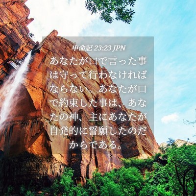 Picture 04 - 申命記 23:23 JPN - あなたが口で言った事は守って行わ - Bible Verse Picture