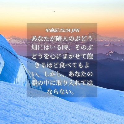 Picture 04 - 申命記 23:24 JPN - あなたが隣人のぶどう畑にはいる時 - Bible Verse Picture