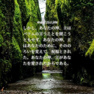 Picture 04 - 申命記 23:5 JPN - しかし、あなたの神、主はバラムの - Bible Verse Picture