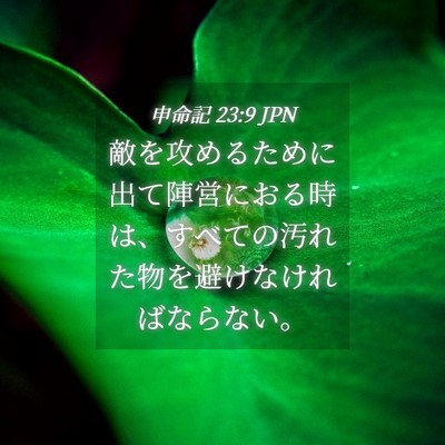 Picture 04 - 申命記 23:9 JPN - 敵を攻めるために出て陣営におる時 - Bible Verse Picture