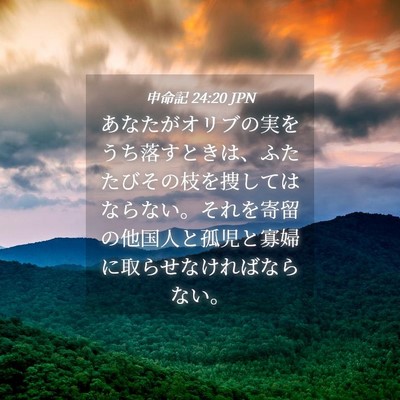 Picture 04 - 申命記 24:20 JPN - あなたがオリブの実をうち落すとき - Bible Verse Picture