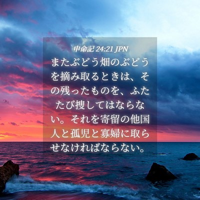 Picture 04 - 申命記 24:21 JPN - またぶどう畑のぶどうを摘み取ると - Bible Verse Picture