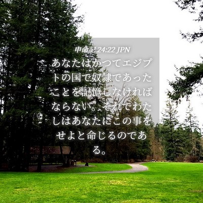 Picture 04 - 申命記 24:22 JPN - あなたはかつてエジプトの国で奴隷 - Bible Verse Picture