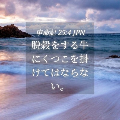 Picture 04 - 申命記 25:4 JPN - 脱穀をする牛にくつこを掛けてはな - Bible Verse Picture
