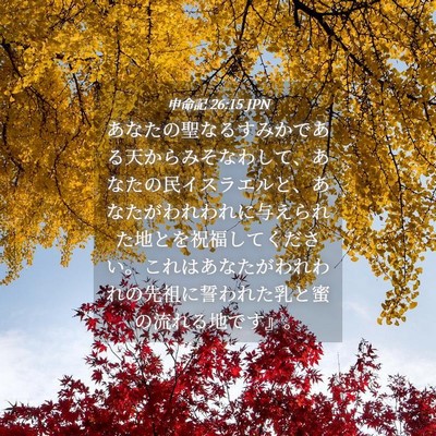 Picture 04 - 申命記 26:15 JPN - あなたの聖なるすみかである天から - Bible Verse Picture