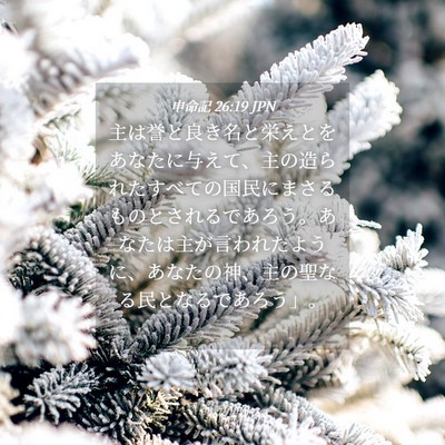 Picture 04 - 申命記 26:19 JPN - 主は誉と良き名と栄えとをあなたに - Bible Verse Picture