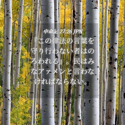 Picture 04 - 申命記 27:26 JPN - 『この律法の言葉を守り行わない者 - Bible Verse Picture