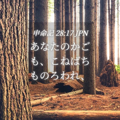 Picture 04 - 申命記 28:17 JPN - あなたのかごも、こねばちものろわ - Bible Verse Picture