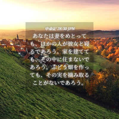 Picture 04 - 申命記 28:30 JPN - あなたは妻をめとっても、ほかの人 - Bible Verse Picture