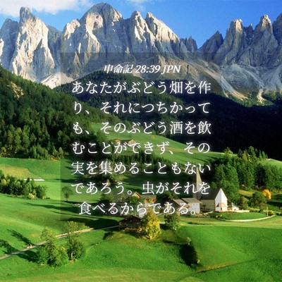 Picture 04 - 申命記 28:39 JPN - あなたがぶどう畑を作り、それにつ - Bible Verse Picture