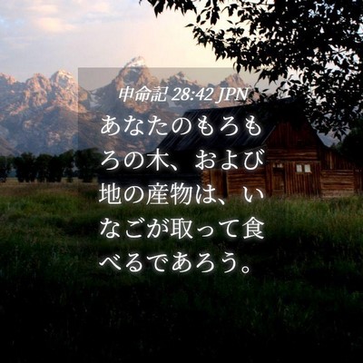Picture 04 - 申命記 28:42 JPN - あなたのもろもろの木、および地の - Bible Verse Picture