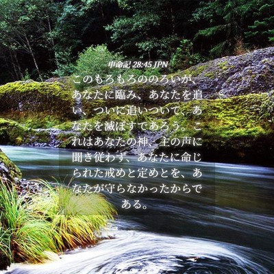 Picture 04 - 申命記 28:45 JPN - このもろもろののろいが、あなたに - Bible Verse Picture