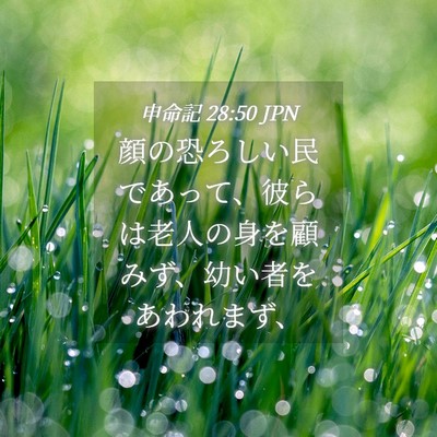 Picture 04 - 申命記 28:50 JPN - 顔の恐ろしい民であって、彼らは老 - Bible Verse Picture
