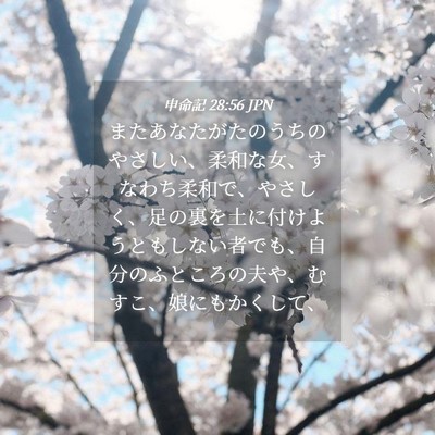 Picture 04 - 申命記 28:56 JPN - またあなたがたのうちのやさしい、 - Bible Verse Picture