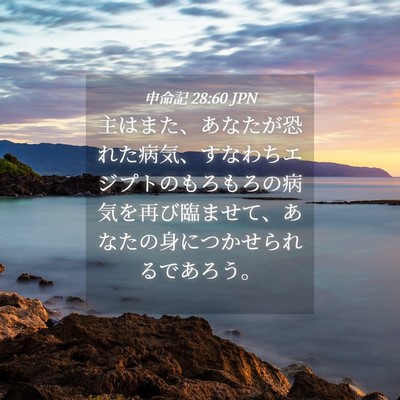 Picture 04 - 申命記 28:60 JPN - 主はまた、あなたが恐れた病気、す - Bible Verse Picture