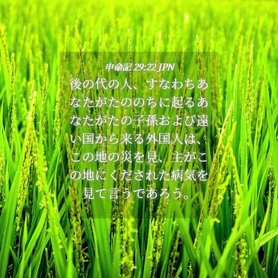 Picture 04 - 申命記 29:22 JPN - 後の代の人、すなわちあなたがたの - Bible Verse Picture