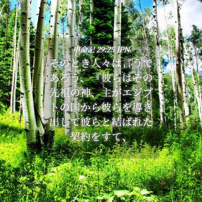 Picture 04 - 申命記 29:25 JPN - そのとき人々は言うであろう、『彼 - Bible Verse Picture