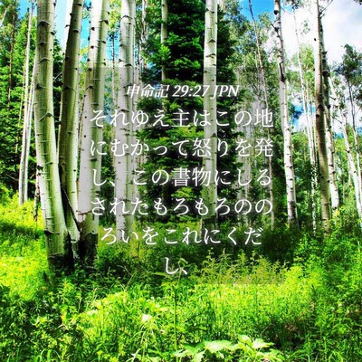 Picture 04 - 申命記 29:27 JPN - それゆえ主はこの地にむかって怒り - Bible Verse Picture