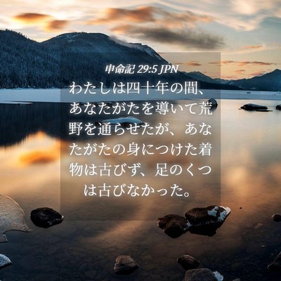 Picture 04 - 申命記 29:5 JPN - わたしは四十年の間、あなたがたを - Bible Verse Picture