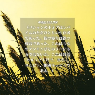 Picture 04 - 申命記 3:11 JPN - （バシャンの王オグはレパイムのた - Bible Verse Picture