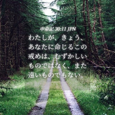 Picture 04 - 申命記 30:11 JPN - わたしが、きょう、あなたに命じる - Bible Verse Picture