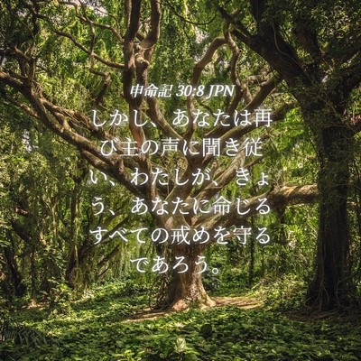 Picture 04 - 申命記 30:8 JPN - しかし、あなたは再び主の声に聞き - Bible Verse Picture