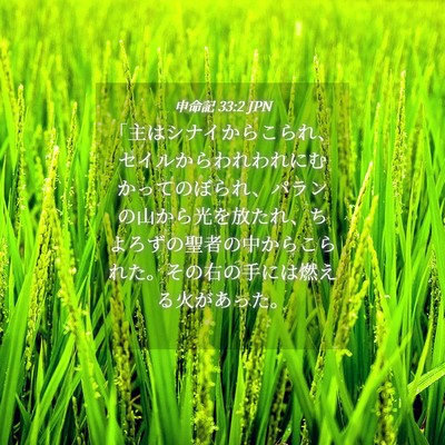 Picture 04 - 申命記 33:2 JPN - 「主はシナイからこられ、セイルか - Bible Verse Picture