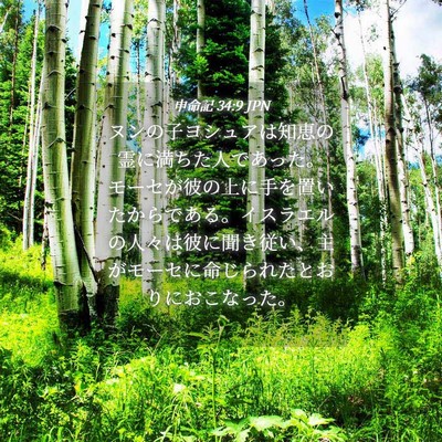 Picture 04 - 申命記 34:9 JPN - ヌンの子ヨシュアは知恵の霊に満ち - Bible Verse Picture