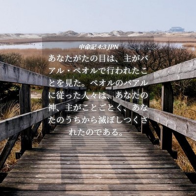 Picture 04 - 申命記 4:3 JPN - あなたがたの目は、主がバアル・ペ - Bible Verse Picture