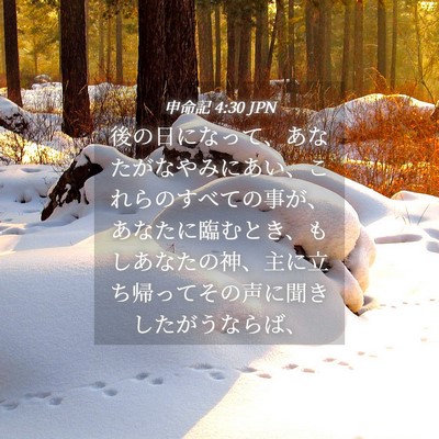 Picture 04 - 申命記 4:30 JPN - 後の日になって、あなたがなやみに - Bible Verse Picture