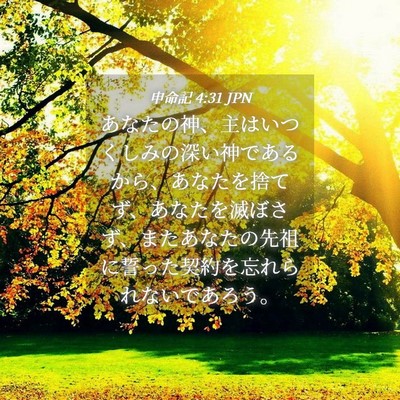 Picture 04 - 申命記 4:31 JPN - あなたの神、主はいつくしみの深い - Bible Verse Picture